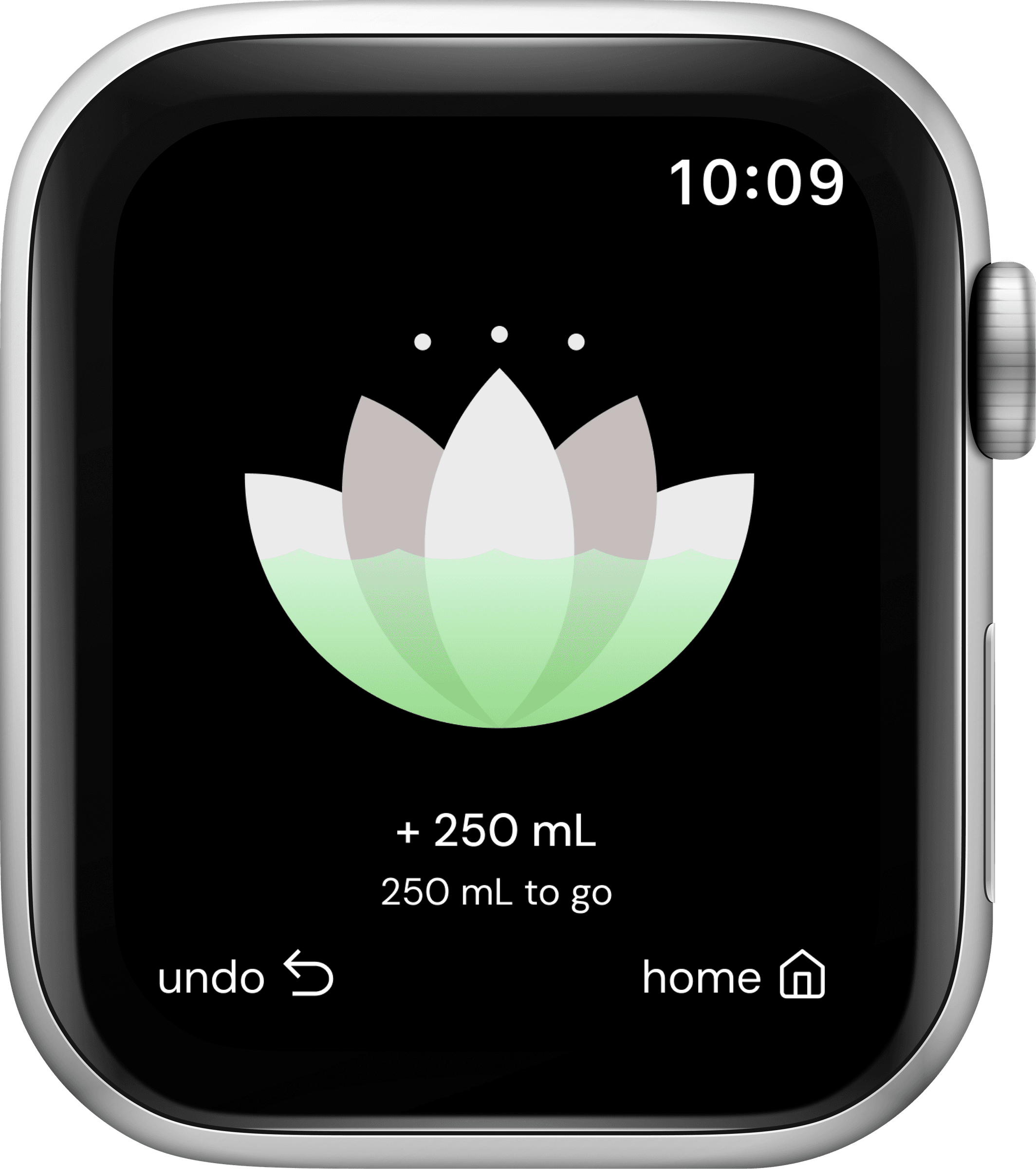 Hanami progress bloom